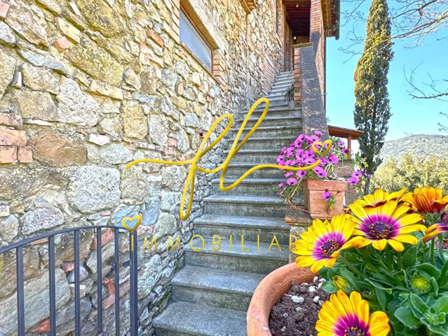 Immagine 4 di Casa colonica in vendita  a Volterra