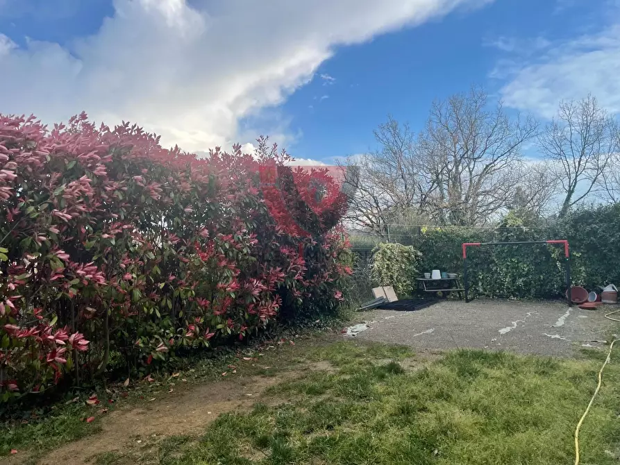 Immagine 33 di Appartamento in vendita  a Casole D'elsa