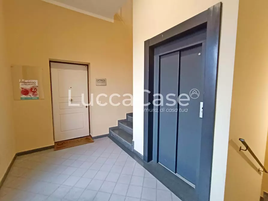 Immagine 15 di Ufficio in affitto  a Lucca