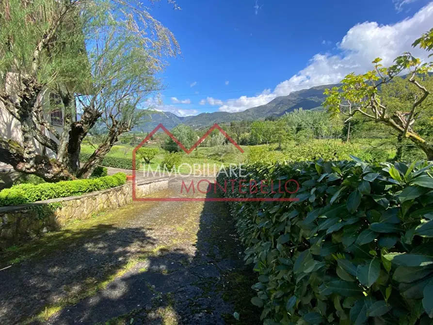 Immagine 34 di Villa in vendita  a Camaiore