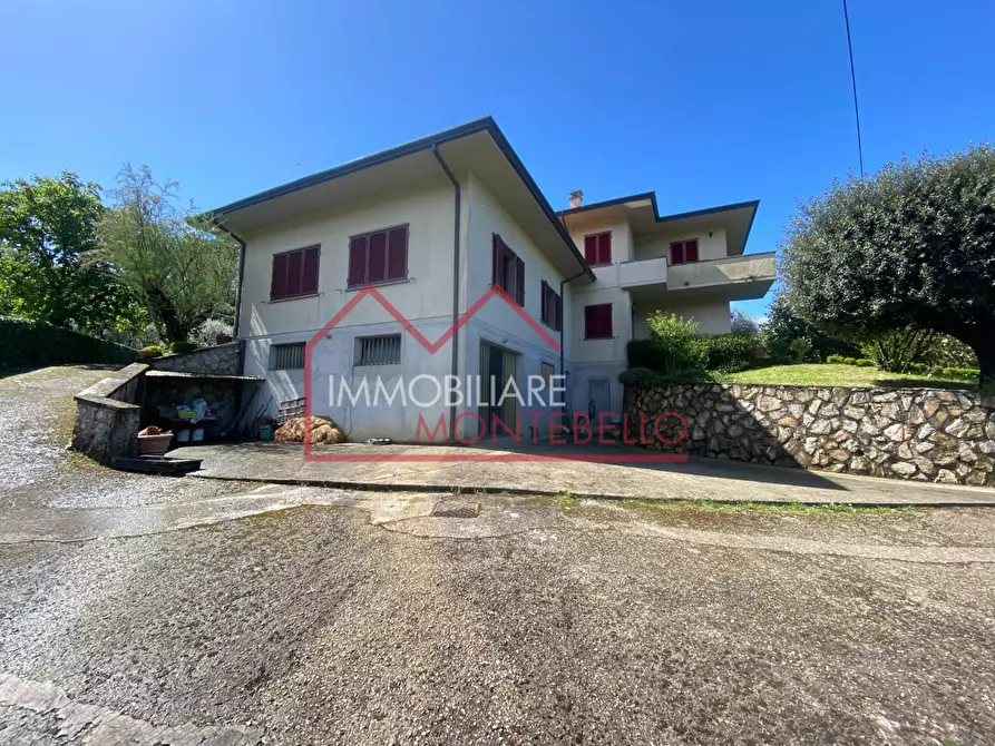 Immagine 4 di Villa in vendita  a Camaiore