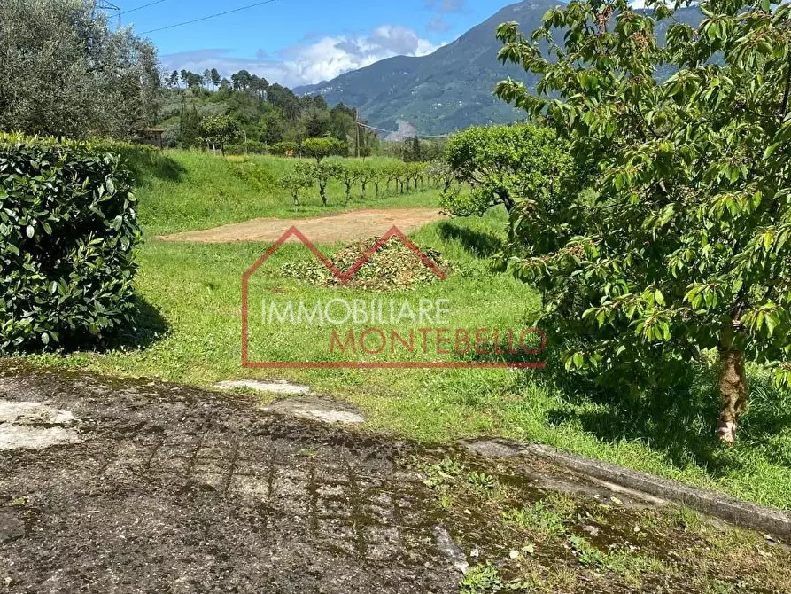 Immagine 37 di Villa in vendita  a Camaiore