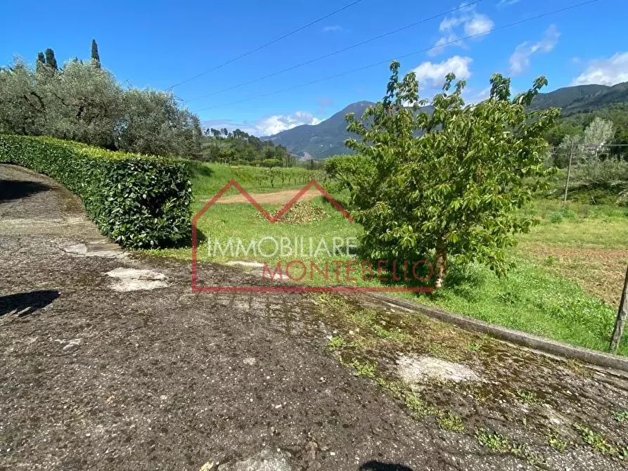 Immagine 38 di Villa in vendita  a Camaiore