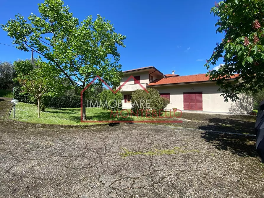 Immagine 3 di Villa in vendita  a Camaiore