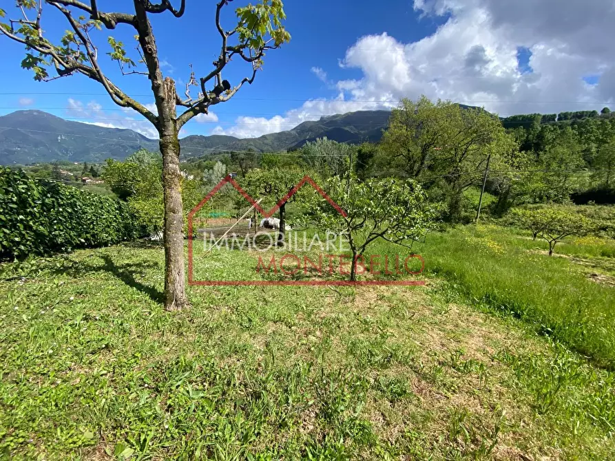 Immagine 36 di Villa in vendita  a Camaiore