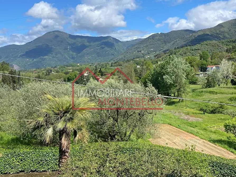 Immagine 10 di Villa in vendita  a Camaiore