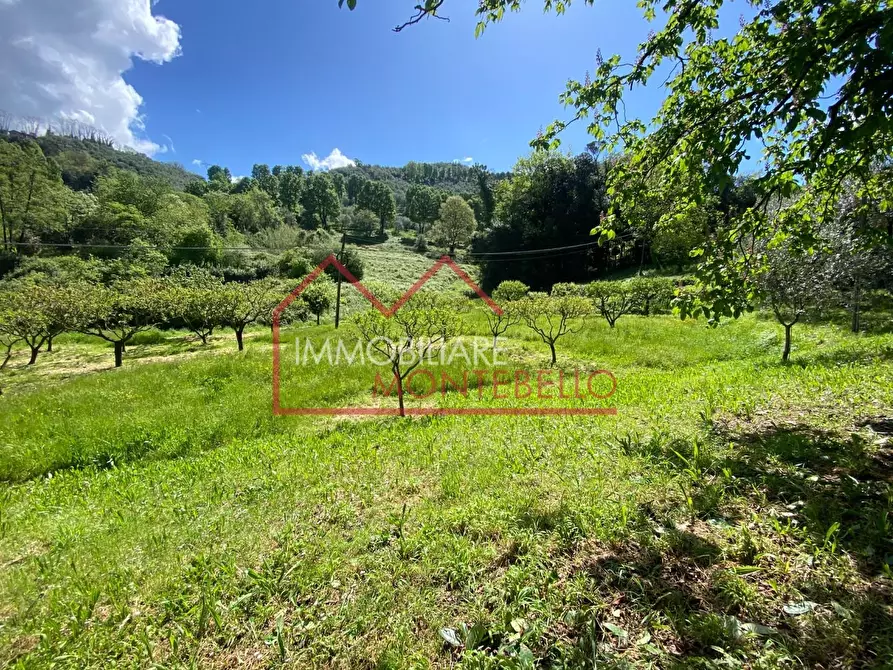 Immagine 35 di Villa in vendita  a Camaiore