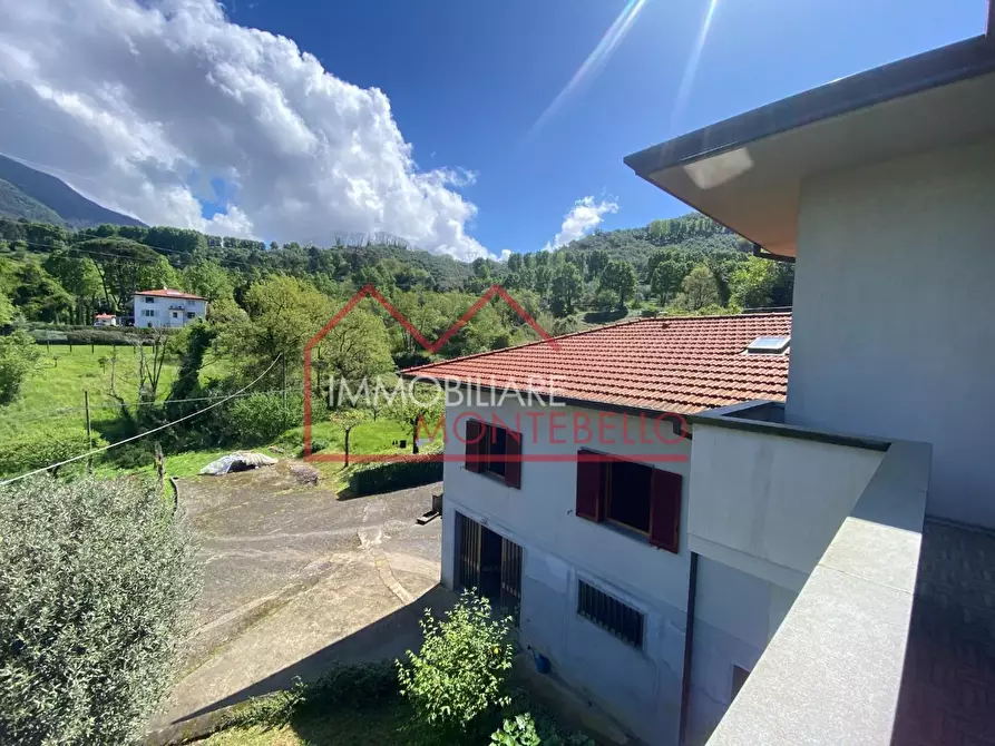 Immagine 14 di Villa in vendita  a Camaiore