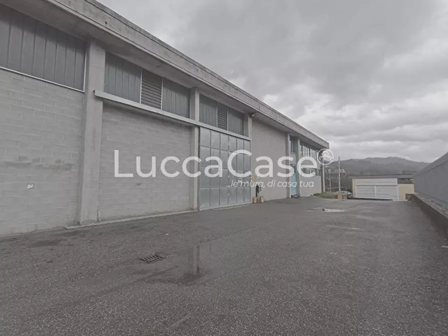 Immagine 11 di Capannone industriale in affitto  a Coreglia Antelminelli
