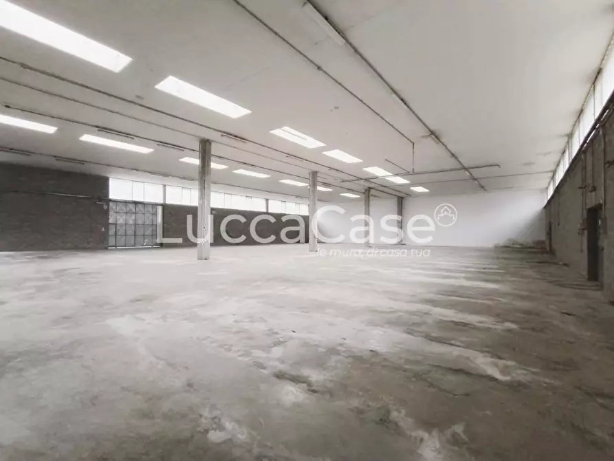 Immagine 7 di Capannone industriale in affitto  a Coreglia Antelminelli