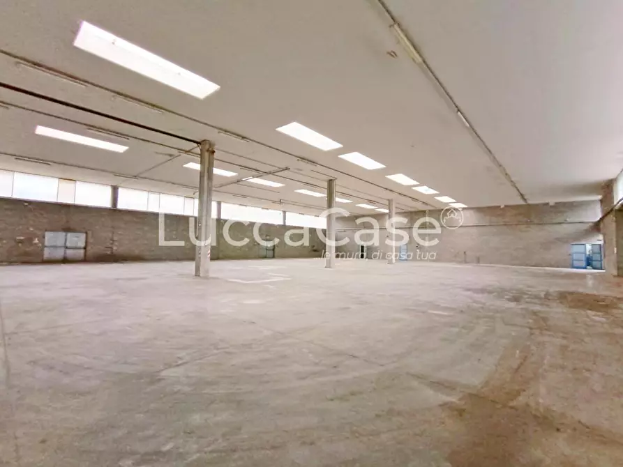 Immagine 1 di Capannone industriale in affitto  a Coreglia Antelminelli