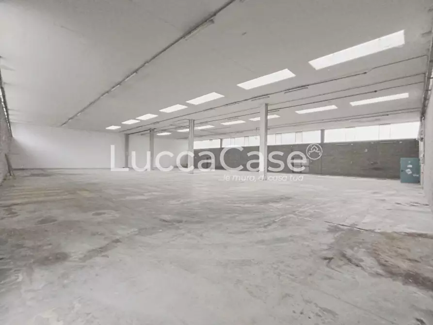 Immagine 5 di Capannone industriale in affitto  a Coreglia Antelminelli