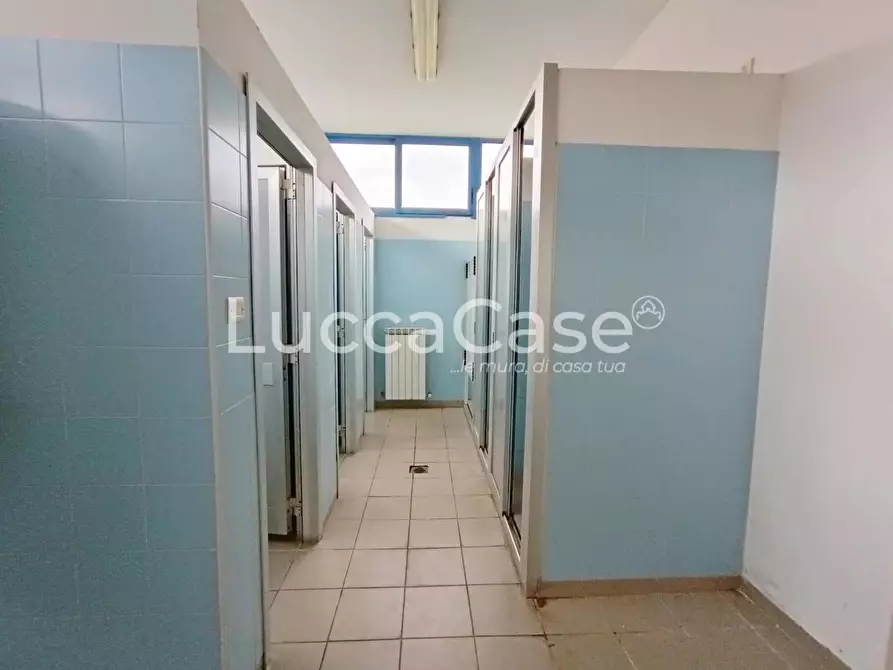 Immagine 10 di Capannone industriale in affitto  a Coreglia Antelminelli