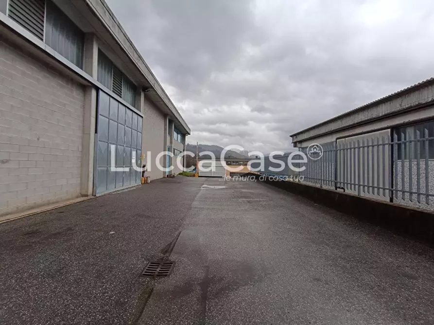 Immagine 12 di Capannone industriale in affitto  a Coreglia Antelminelli
