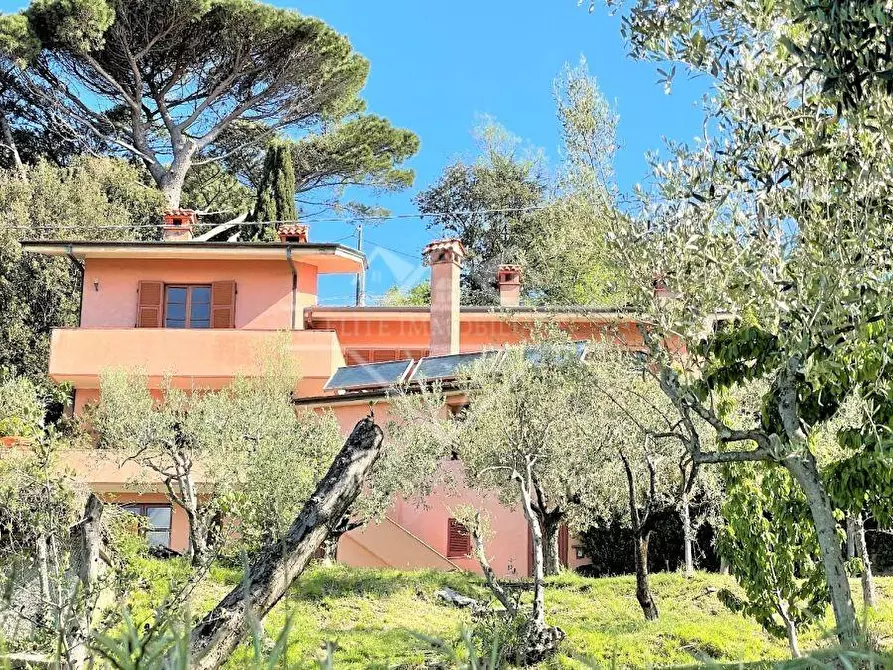 Immagine 3 di Villa in vendita  a Fosdinovo