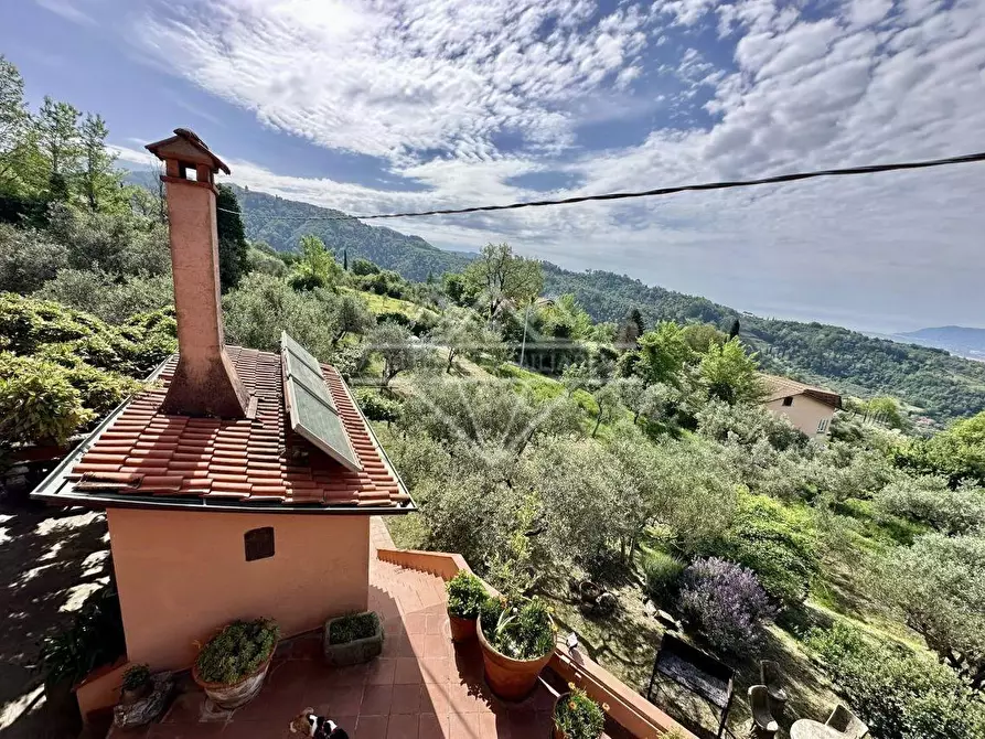 Immagine 44 di Villa in vendita  a Fosdinovo