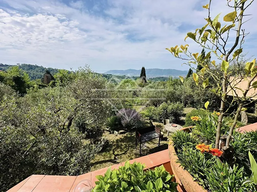 Immagine 43 di Villa in vendita  a Fosdinovo