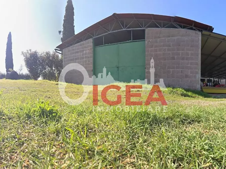 immagine annuncio 0 di 1