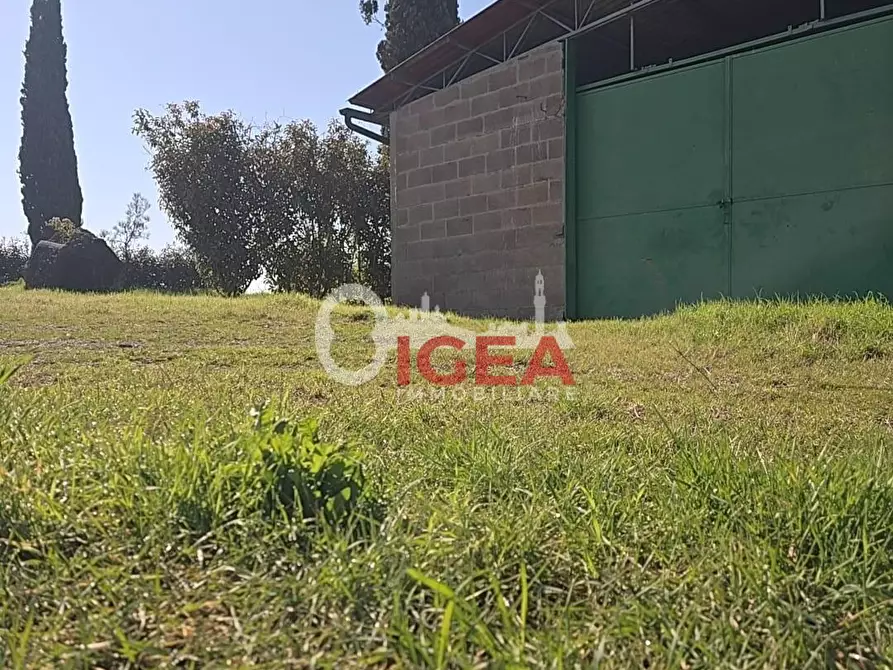 Immagine 3 di Deposito in vendita  a Monteroni D'arbia