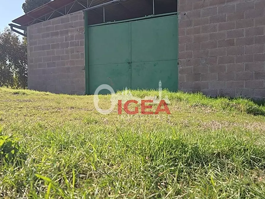 Immagine 4 di Deposito in vendita  a Monteroni D'arbia