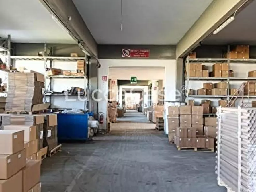 Immagine 3 di Attività artigianale in vendita  a Monsummano Terme