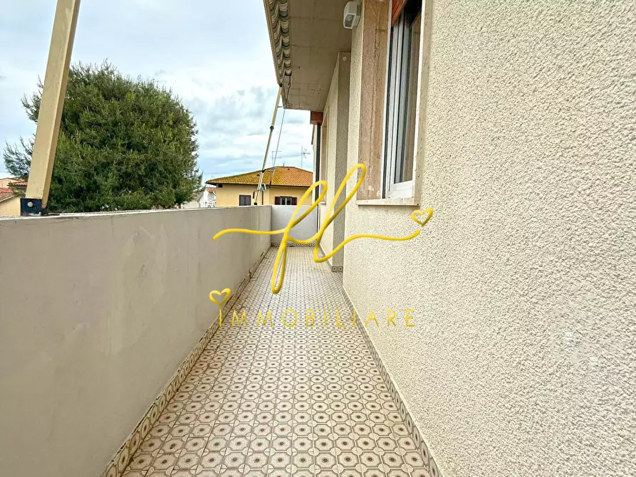 Immagine 12 di Appartamento in vendita  a Cecina