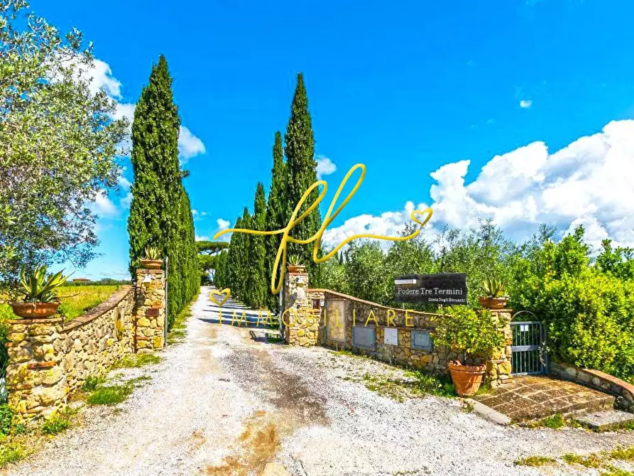 Immagine 16 di Appartamento in vendita  a Cecina