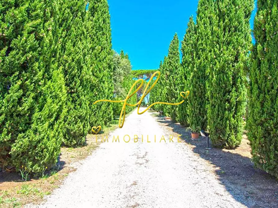 Immagine 8 di Appartamento in vendita  a Cecina