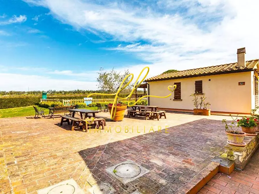 Immagine 18 di Appartamento in vendita  a Cecina