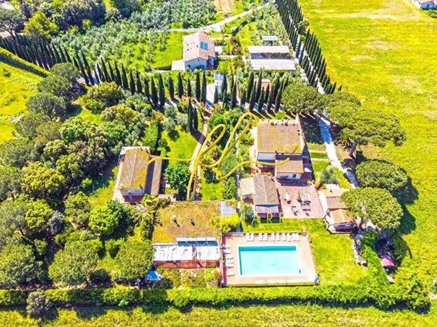 Immagine 8 di Appartamento in vendita  a Cecina