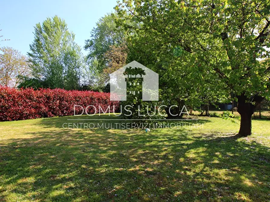 Immagine 4 di Casa semindipendente in vendita  a Capannori