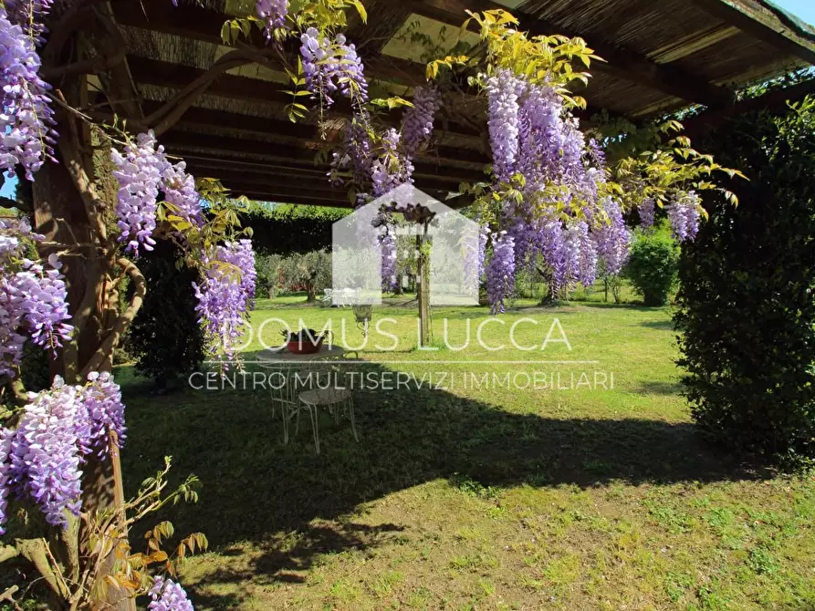 Immagine 13 di Casa semindipendente in vendita  a Capannori