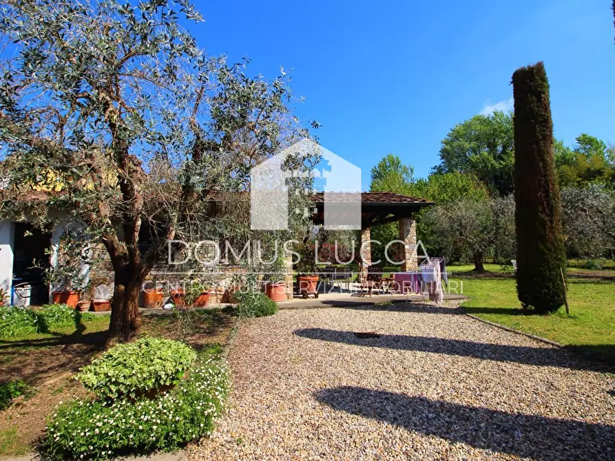 Immagine 6 di Casa semindipendente in vendita  a Capannori