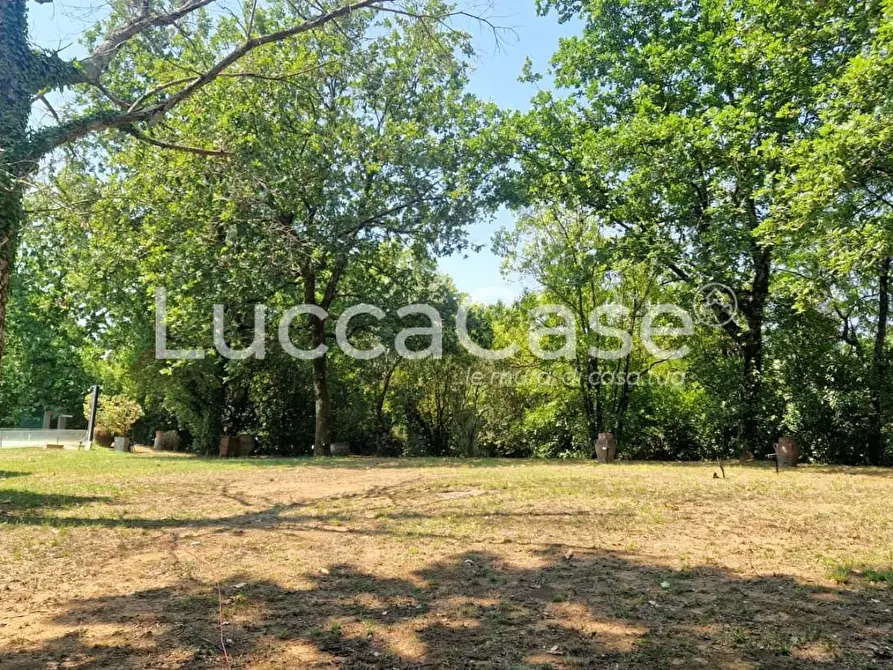 Immagine 39 di Villa in vendita  a Lucca