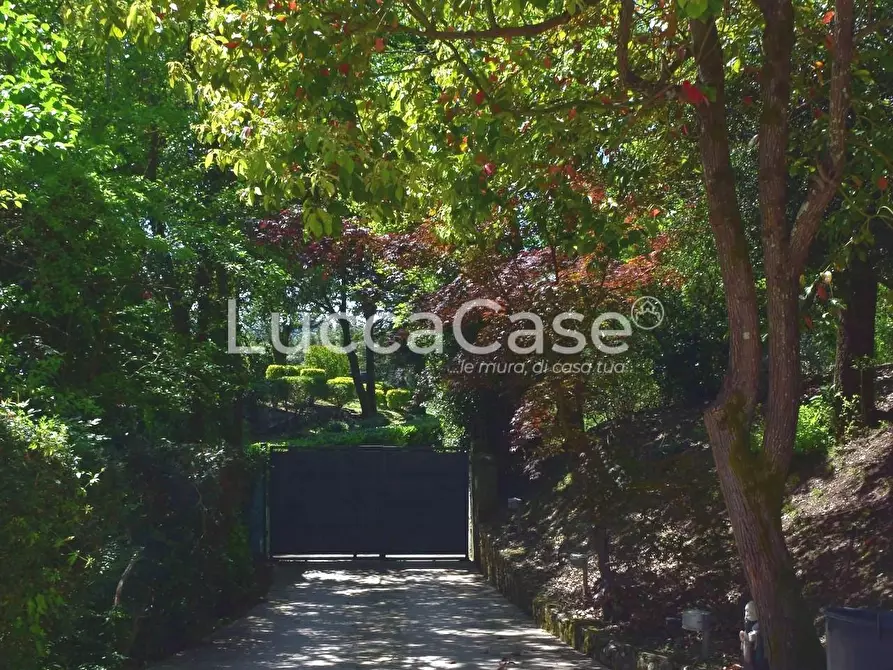 Immagine 2 di Villa in vendita  a Lucca