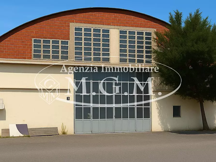 Immagine 1 di Capannone industriale in affitto  a Bientina