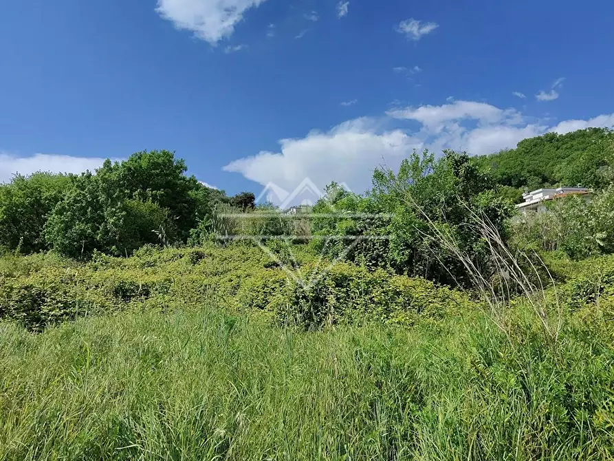 Immagine 3 di Terreno agricolo in vendita  a Carrara