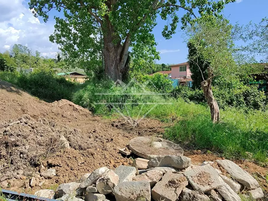 Immagine 2 di Terreno agricolo in vendita  a Carrara