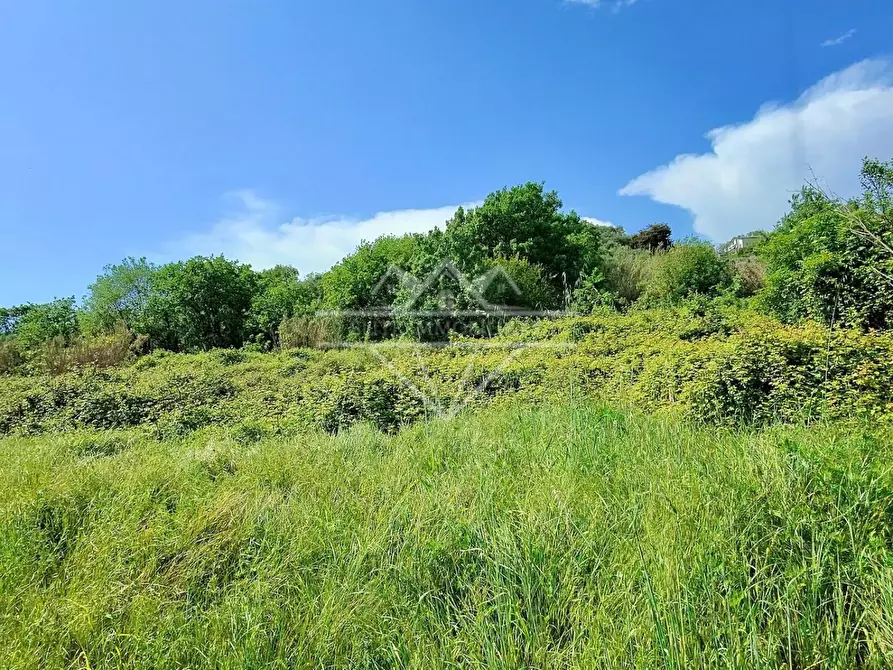 Immagine 4 di Terreno agricolo in vendita  a Carrara