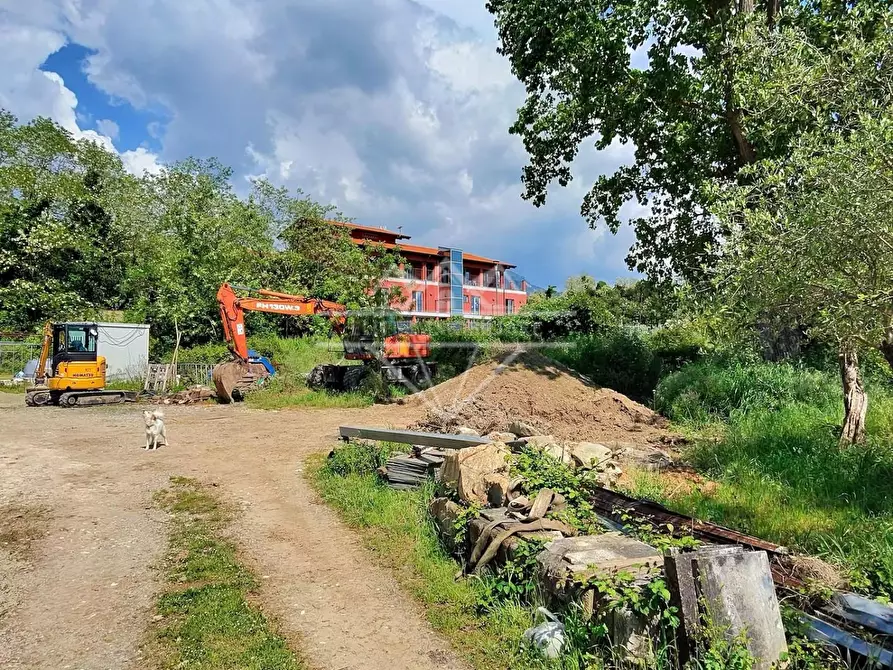 Immagine 1 di Terreno agricolo in vendita  a Carrara