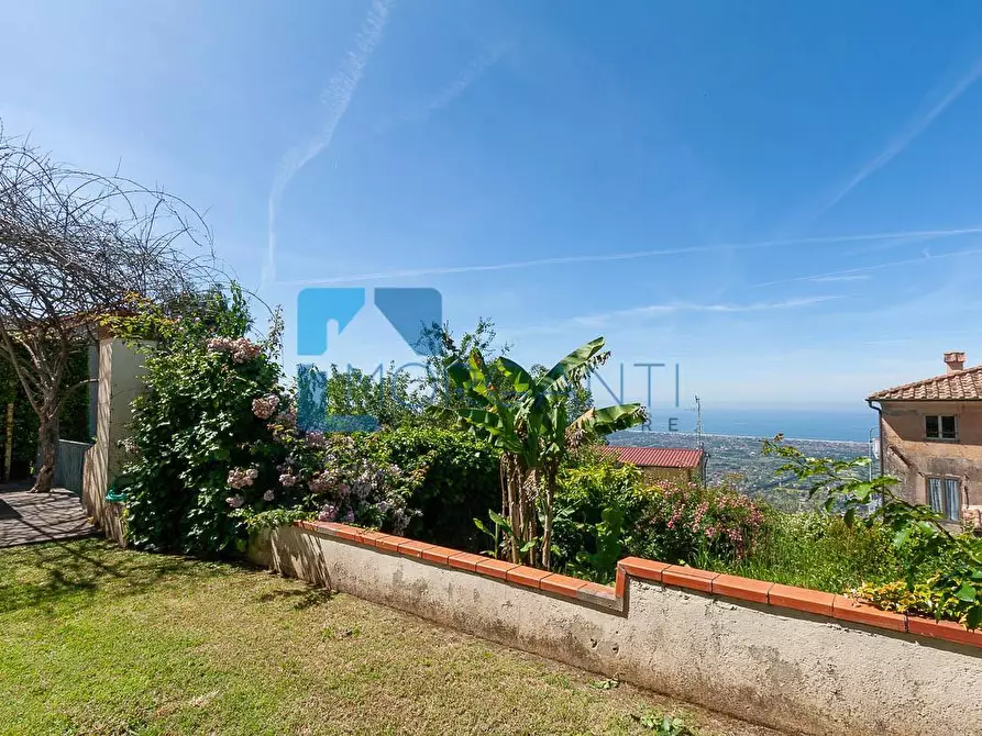 Immagine 5 di Rustico / casale in vendita  a Pietrasanta
