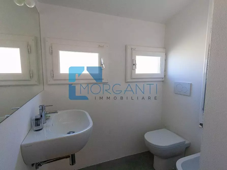 Immagine 27 di Rustico / casale in vendita  a Pietrasanta