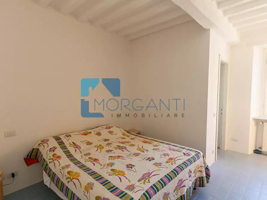 Immagine 21 di Rustico / casale in vendita  a Pietrasanta