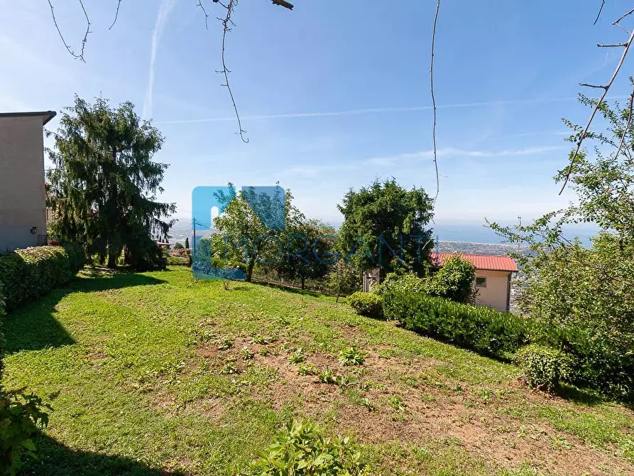 Immagine 6 di Rustico / casale in vendita  a Pietrasanta