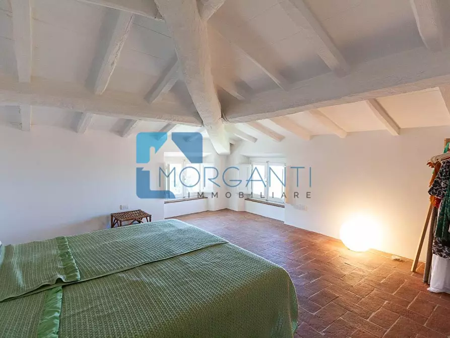 Immagine 23 di Rustico / casale in vendita  a Pietrasanta