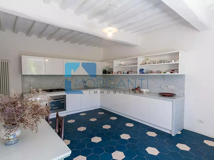 Immagine 17 di Rustico / casale in vendita  a Pietrasanta