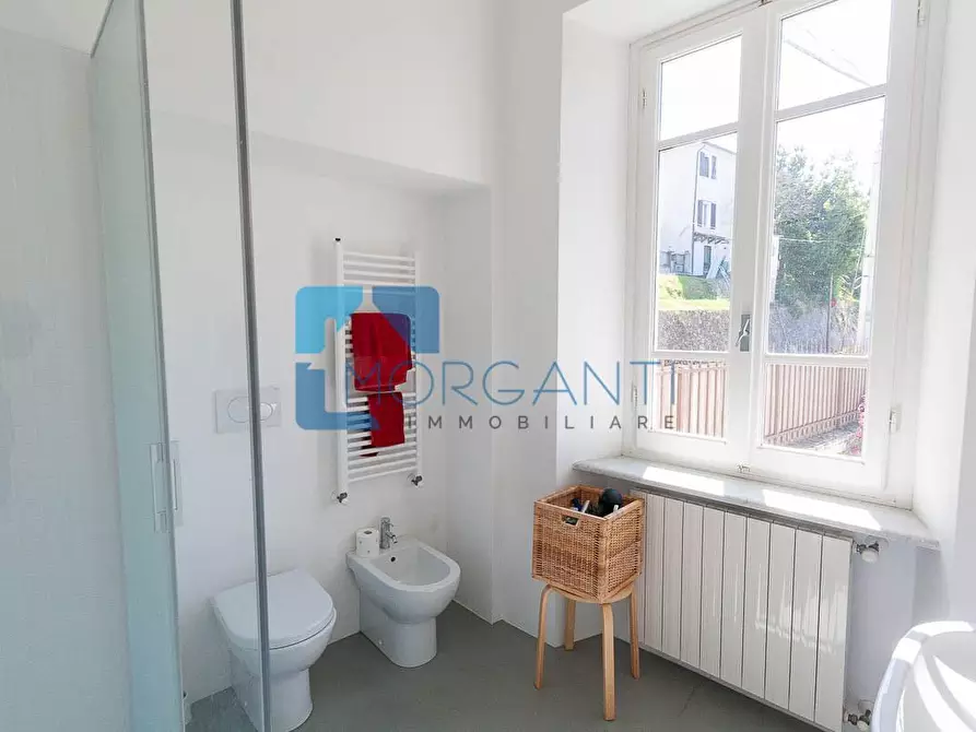 Immagine 26 di Rustico / casale in vendita  a Pietrasanta