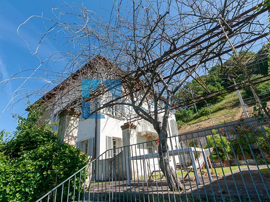 Immagine 7 di Rustico / casale in vendita  a Pietrasanta