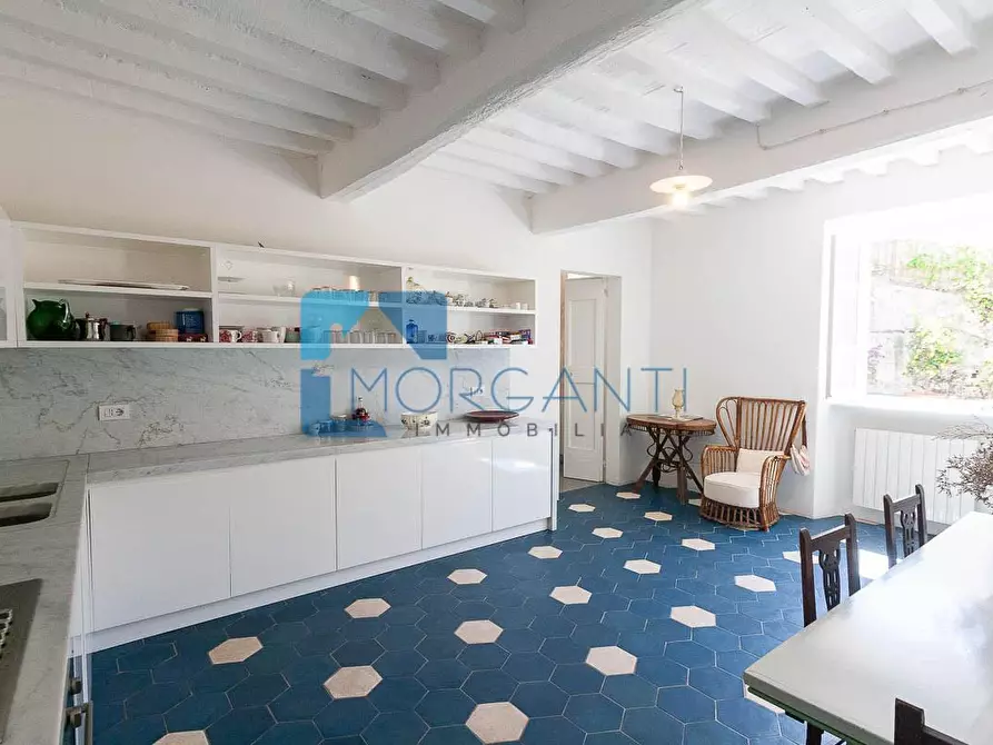 Immagine 16 di Rustico / casale in vendita  a Pietrasanta