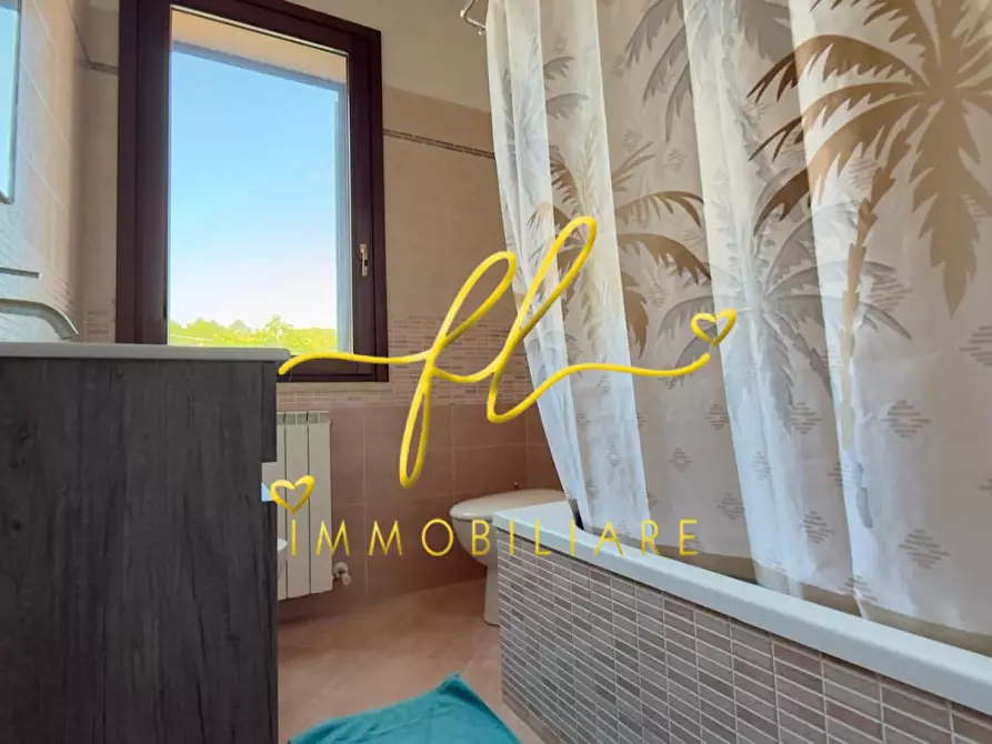 Immagine 18 di Appartamento in vendita  a Rosignano Marittimo